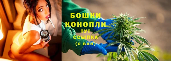 кокс Бородино