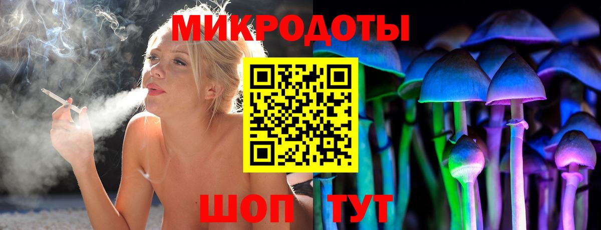 Галлюциногенные грибы Cubensis Солнечногорск
